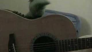 The Mountain Goats: Dance Music