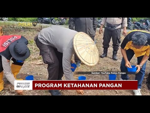PRESISI UPDATE : POLRES PALOPO TANAM JAGUNG DI LAHAN SELUAS 2 HEKTARE 18/01/2025 15.00