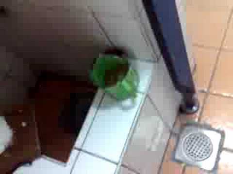 Pareho sa panandalian, maaari mong alisin ang tiyan at hips sa bahay Hindi nawawala ang bigat sa ksenikalom