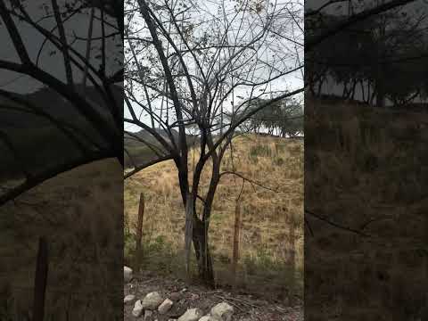 El Guayabillo, Chinandega, buscando San Juan de Limay - Estelí.