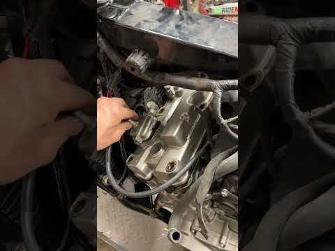 50. The big Five-O! #honda #cb600 #hornet #shorts