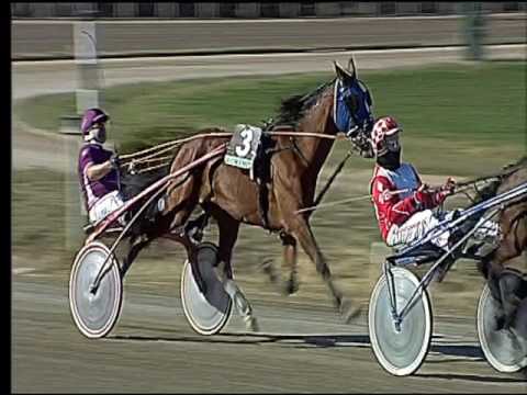 Trotto 19/02/2017 - 1ª corsa