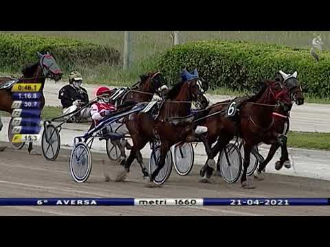 Aversa trotto 21 Aprile 2021 - 6° Corsa