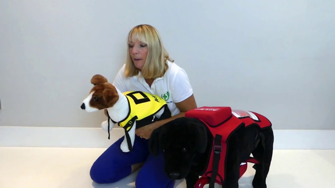Dog Choking: What to Do | First Aid - YouTube