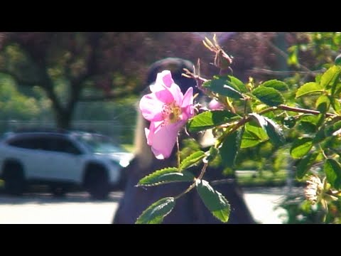 Marc Wavy - it's been a while (Official Video)