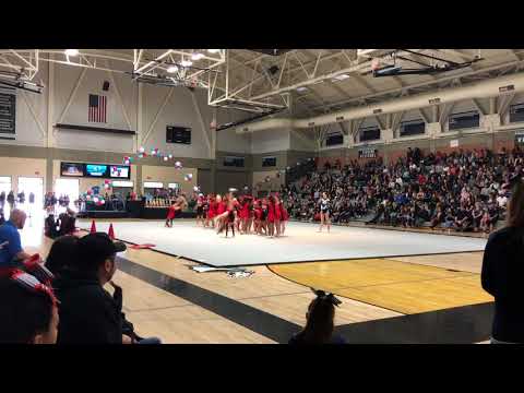 Tarpey Cheer Team 2017-18