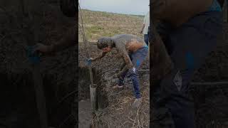 encontrou petróleo na fazenda