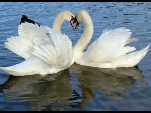 Anastasia Lazariuc & Iurie Sadovnic. Oglinda clipelor.wmv