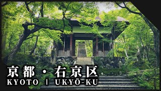 京都右京区の緑の絨毯に包まれた神社仏閣3選 l Shrines and temples surrounded by beautiful nature in Kyoto【kyoto ukyo ku】