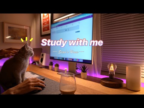 4-Hour Study with Me and My Cat | Pomodoro Timer, Lofi Relaxing Music | Day 50