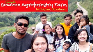 preview picture of video 'Binahon Agroforestry Farm Lantapan Bukidnon 2018'