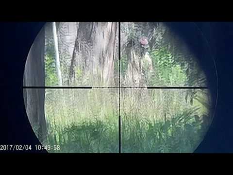 Airsoft SniperCam A.C 04.02.2017 Darkwolf