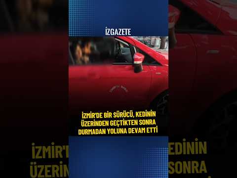 İzmir'de bir sürücü, kedinin üzerinden geçtikten sonra durmadan yoluna devam etti #izmir #kedi