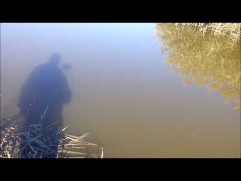 рыбалка в адыгее рыбалка, fishing, рыбалка в краснодарском крае, ловля карпа,