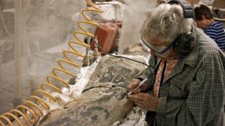 Wyoming Dinosaur Center - That's WY