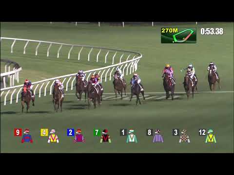 9/6/2021 (741) Happy Tango - K Teetan