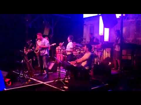 Ishango tree love and death