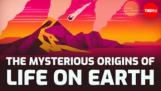 The mysterious origins of life on Earth - Luka Sea