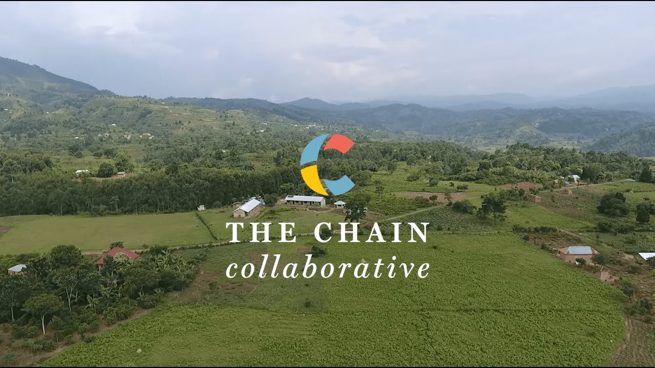 The Chain Collaborative