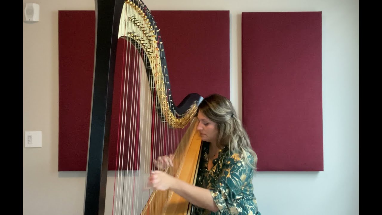 Promotional video thumbnail 2 for Lethicia Caravello the Harpist
