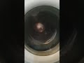 Hotpoint 1200 Rpm