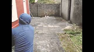 Greatest hurling shot of all time