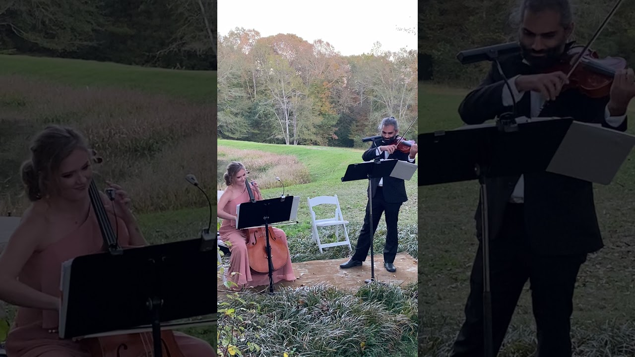 Promotional video thumbnail 2 for Vérité Strings