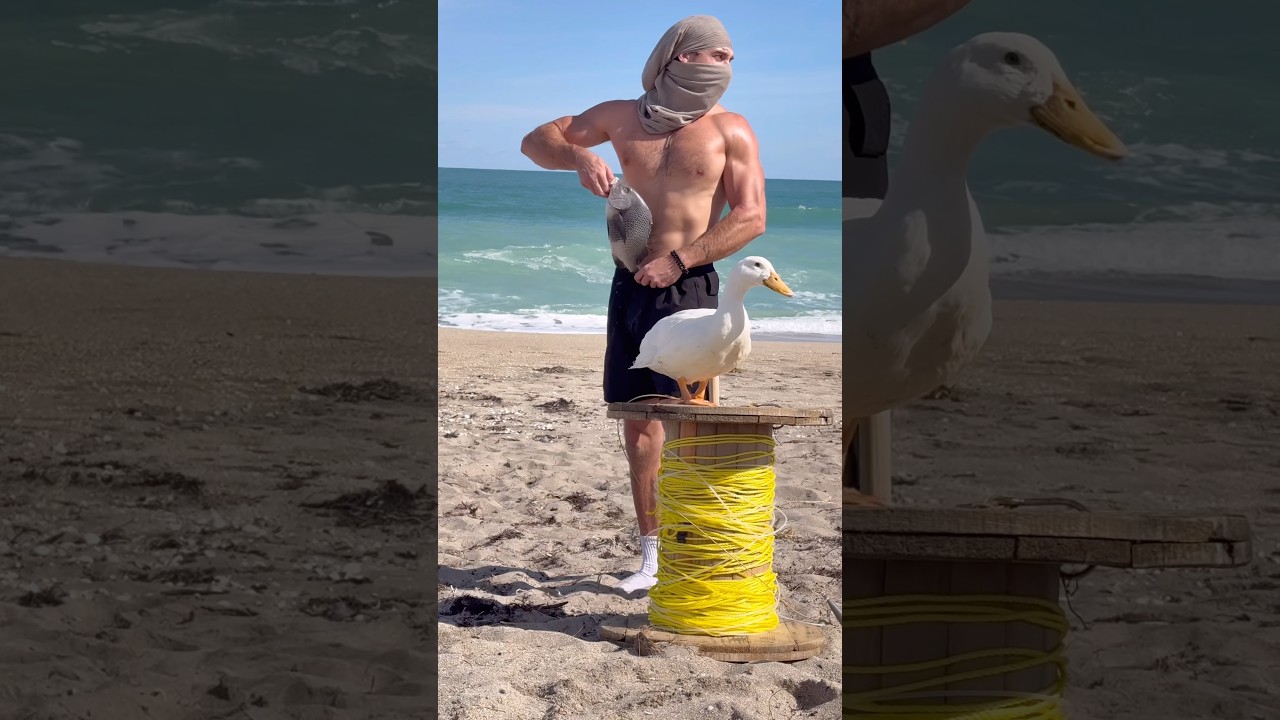 👀Handlining Sharks👀 #shark #sharks #xpece #drone #ocean #newyork #florida #beach #waves #summer