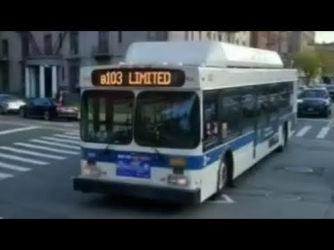 B103 Bus Map The Ultimate Time Saving Strategy