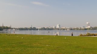 preview picture of video 'Hamburg, Germany: Außenalster, Alsterwiese Schwanenwik, City Skyline - 4K Video Photo'