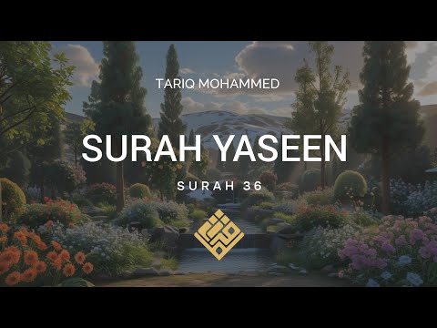 Surah Yaseen | The Heart of the Quran | Life-Changing Recitation with English Translation | 
