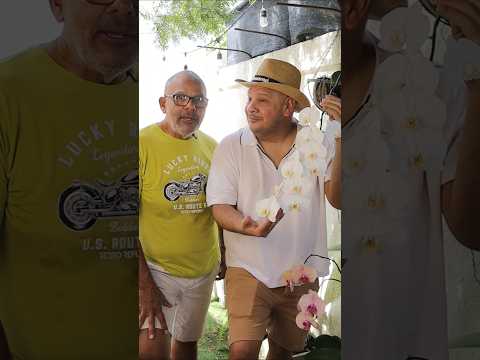 Así van nuestras orquideas #507 #panamapty #507 #panama #penonome #cocle #flores