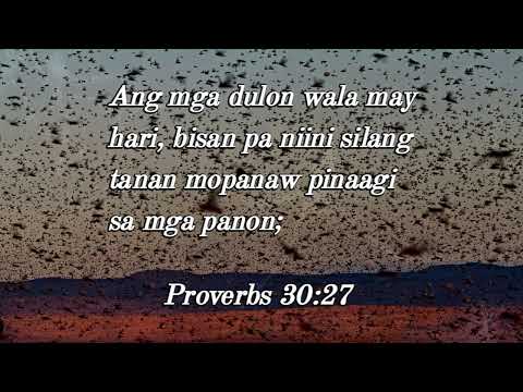 Upat ka gagmay nga butang apan maalamon