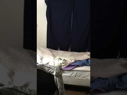 1066 Beacon St - Video 5 of 5