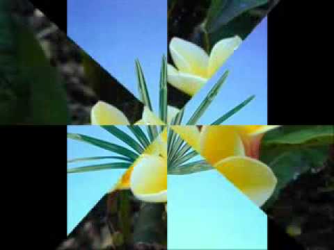 Taulanga 'o Nuku'alofa by Tu'imala Kaho