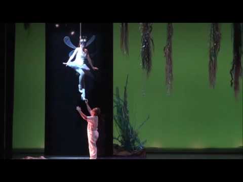 The Water Babies - Quadro 2° N.16 Dragonfly Song