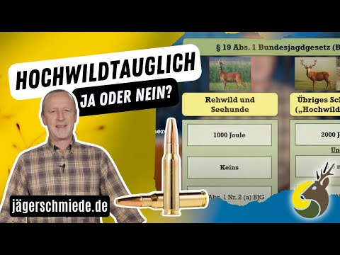 Munition: Hochwildtauglich Ja oder Nein?