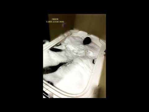 DEREK - LABEL [leak 2020]