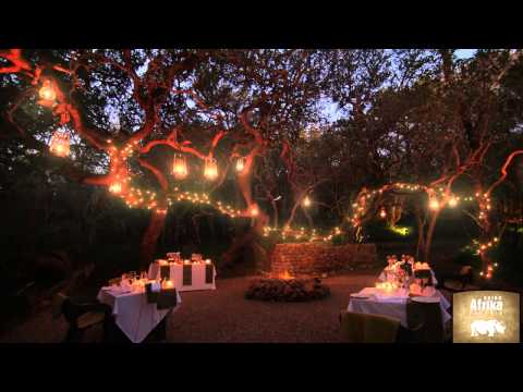 Willkommen in Südafrika - Rhino Afrika