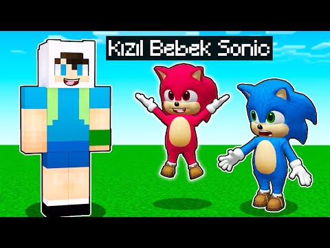 BEBEK SONİC'in KIZ KARDEŞİYLE TANIŞTIM - 😨 Minecraft