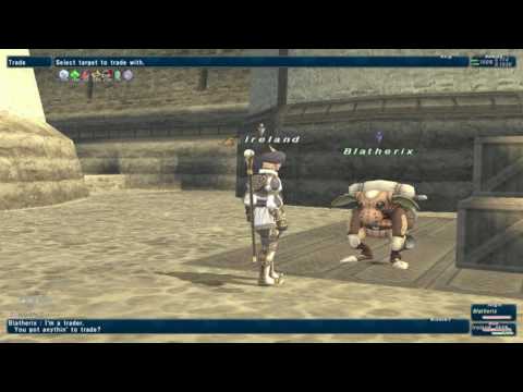 Final Fantasy XI FFXI BRD99WHM49 BRD Bard Ireland Bastok Markets [S] Trading Wrong Item 04.03.17