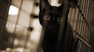 - 島谷ひとみ「君は無敵さ、僕も無敵さ」self covered by HIROKI OSHIBA