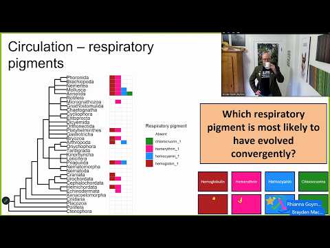 Lecture 08- PWBB III - Respiration II