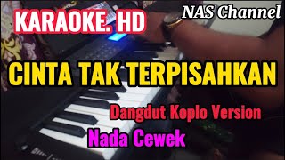Download lagu CINTA TAK TERPISAHKAN - KARAOKE HD (NADA CEWEK) - DANGDUT KOPLO VERSION // JERNIH JOSS mp3