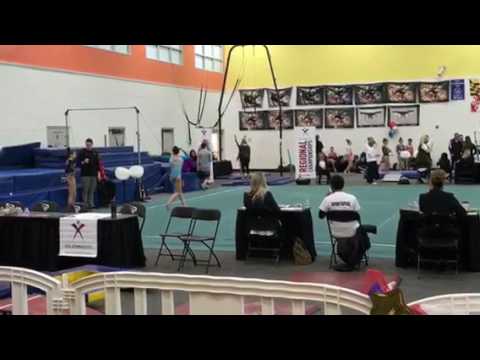 2017 Level 9 Regional Championships