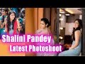 Shalini Pandey ️ Latest Photoshoot ShaliniPandey New Arrivals