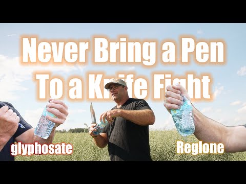 Never Bring a Pen To a Knife Fight | Out of the Office in Canola