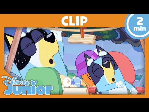 Falsch abgebogen! | Bluey