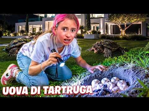 GIORGIA SCOPRE CHE I CUCCIOLI DI TARTARUGA AZZANNATRICE HANNO INVASO CASA NOSTRA!