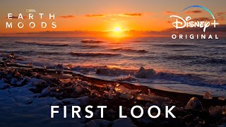 Earth Moods | First Look